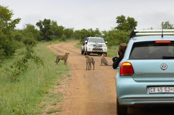 Fondo de Pantalla de pixabay_4987998.jpg