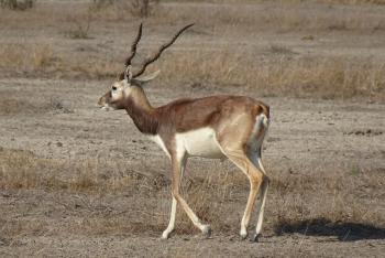 Fondo de Pantalla de pixabay_4915963.jpg