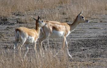 Fondo de Pantalla de pixabay_4915968.jpg