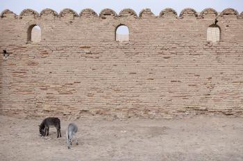 Fondo de Pantalla de pixabay_4844459.jpg