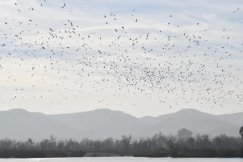 Fondo de Pantalla de pixabay_4804458.jpg