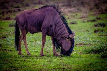 Fondo de Pantalla de pixabay_4785879.jpg