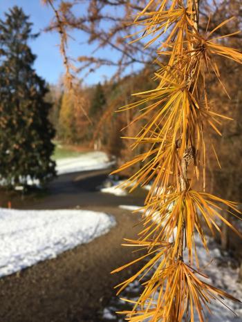 Fondo de Pantalla de pixabay_4712670.jpg