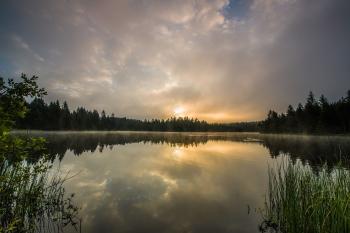 Fondo de Pantalla de pixabay_4649505.jpg