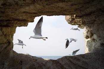 Fondo de Pantalla de pixabay_4652174.jpg