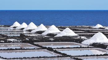 Fondo de Pantalla de pixabay_4368916.jpg