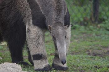 Fondo de Pantalla de pixabay_3988482.jpg