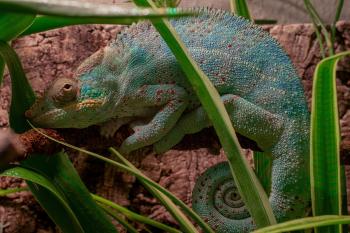 Fondo de Pantalla de pixabay_3916531.jpg