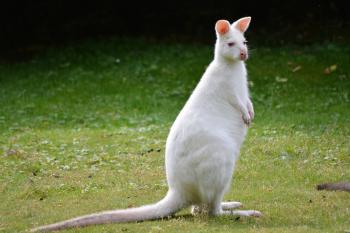 Fondo de Pantalla de pixabay_3835890.jpg