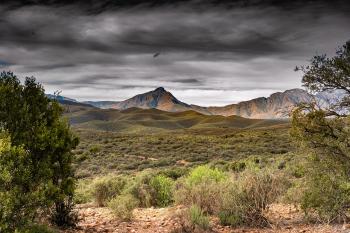 Fondo de Pantalla de pixabay_3764677.jpg