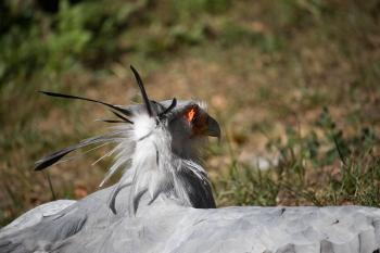 Fondo de Pantalla de pixabay_3662709.jpg