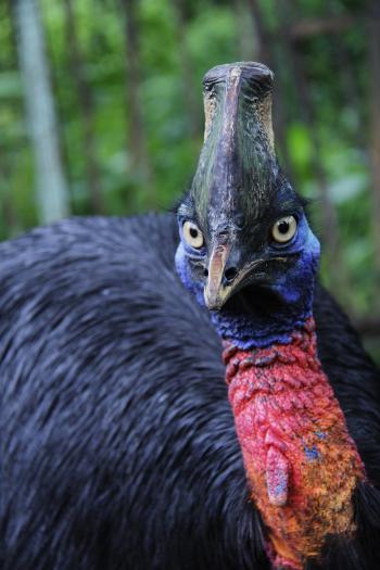 Fondo de Pantalla de pixabay_3530289.jpg