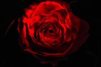 Fondo de Pantalla de pixabay_3527697.jpg