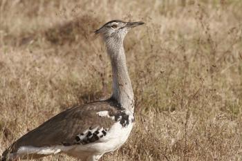 Fondo de Pantalla de pixabay_3472699.jpg