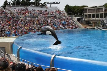 Fondo de Pantalla de pixabay_3406776.jpg