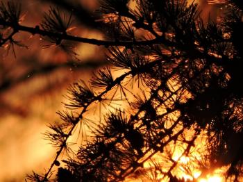 Fondo de Pantalla de pixabay_2522357.jpg