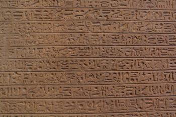 Fondo de Pantalla de pixabay_2067823.jpg