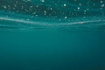 Fondo de Pantalla de pixabay_1845110.jpg