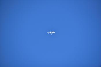 Fondo de Pantalla de pixabay_1309721.jpg