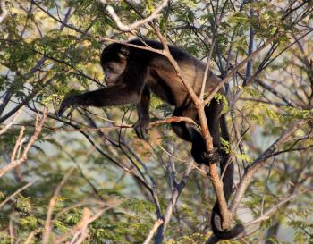 Fondo de Pantalla de pixabay_1112746.jpg