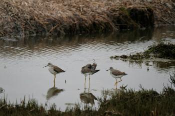 Fondo de Pantalla de pexels_9857764.jpg