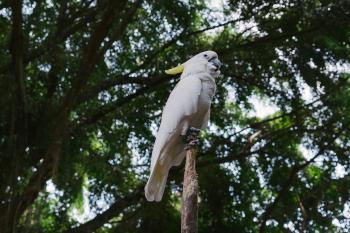 Fondo de Pantalla de pexels_7722469.jpg