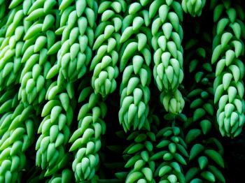 Fondo de Pantalla de pexels_7450079.jpg