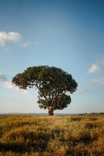 Fondo de Pantalla de pexels_6756837.jpg