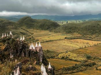 Fondo de Pantalla de pexels_5153686.jpg