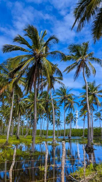 Fondo de Pantalla de pexels_30827646.jpg