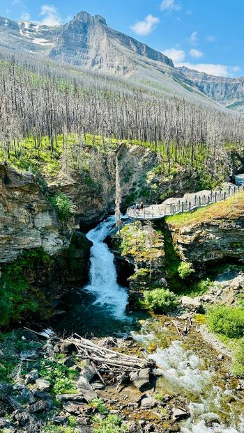 Fondo de Pantalla de pexels_30742826.jpg