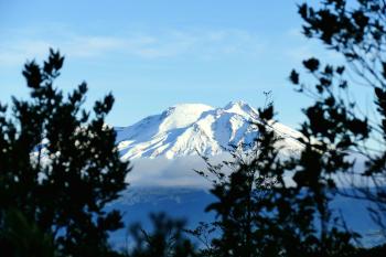 Fondo de Pantalla de pexels_30744205.jpg