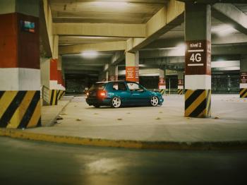 Fondo de Pantalla de pexels_30730456.jpg