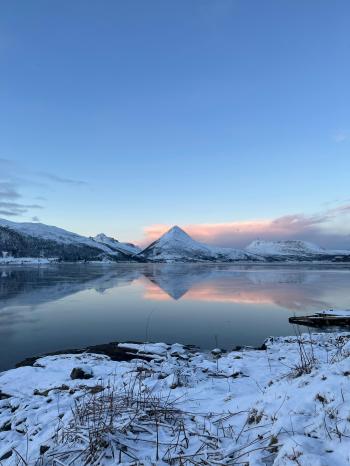 Fondo de Pantalla de pexels_30713102.jpg