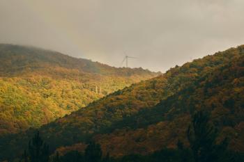 Fondo de Pantalla de pexels_30667868.jpg