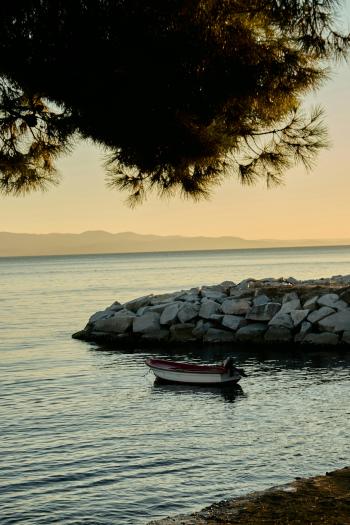 Fondo de Pantalla de pexels_30616570.jpg