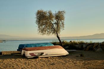 Fondo de Pantalla de pexels_30616583.jpg