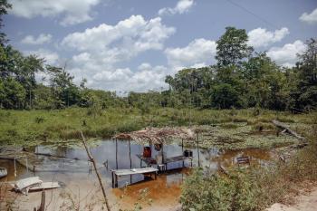 Fondo de Pantalla de pexels_30619294.jpg