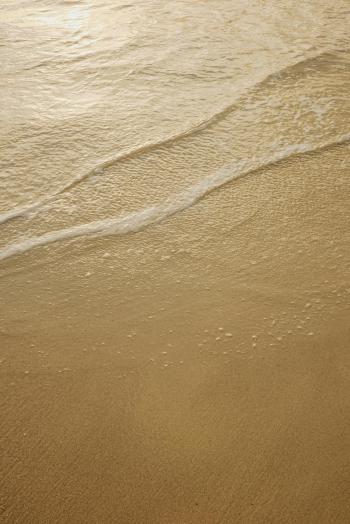 Fondo de Pantalla de pexels_30595600.jpg