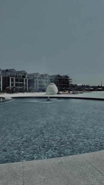 Fondo de Pantalla de pexels_30539164.jpg