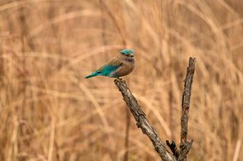 Fondo de Pantalla de pexels_30542359.jpg