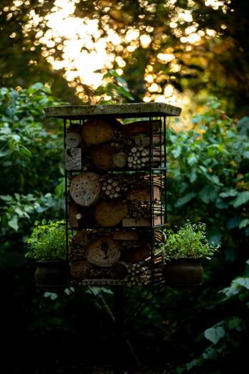 Fondo de Pantalla de pexels_30534469.jpg