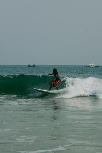 Fondo de Pantalla de pexels_30493368.jpg