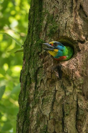 Fondo de Pantalla de pexels_30500553.jpg