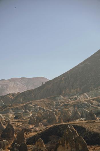 Fondo de Pantalla de pexels_30503443.jpg