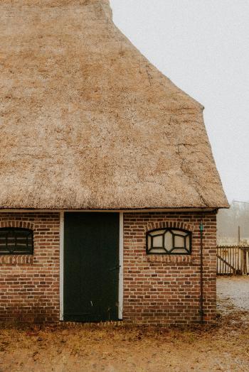 Fondo de Pantalla de pexels_30506009.jpg