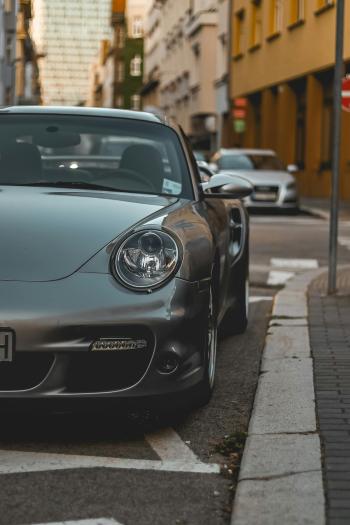 Fondo de Pantalla de pexels_30509012.jpg