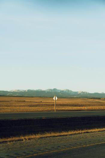 Fondo de Pantalla de pexels_30464340.jpg