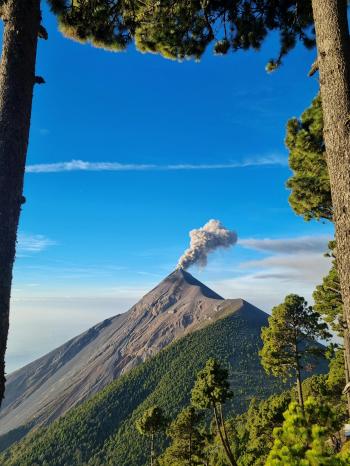 Fondo de Pantalla de pexels_30407732.jpg