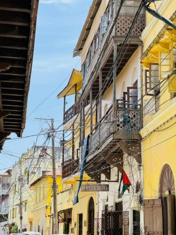 Fondo de Pantalla de pexels_30441418.jpg